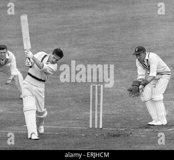 Australian cricket tour of England for the Ashes. MCC v Australia at Lords. Aussie left hander Neil Harvey edging out of his crease with MCC wicket keeper Harrison poised for action but Harvey hits a drive on his way to 194 runs. 27th May 1956. Stock Photo
