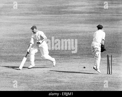 England tour of Australia for the Ashes. Second day of the Australia v England First Test match in Sydney. Australia's Jack Fingleton throws the wicket but Bob Wyatt is safe. 3rd December 1932. Stock Photo