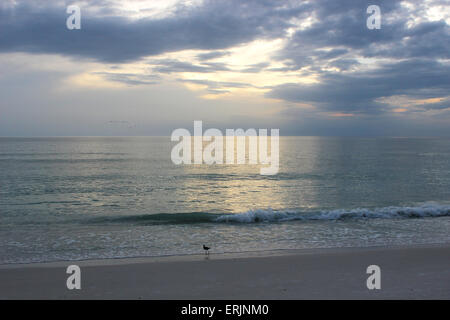Marco Island Sunset Stock Photo