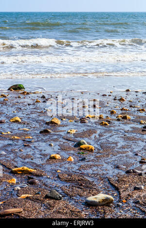 Pebbles on a Beach in Dawlish, South Devon, England,  UK Stock Photo
