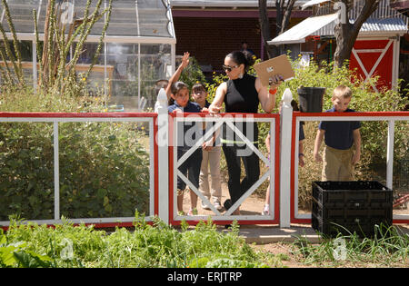 Manzo Elementary School students work in the school's organic garden, Tucson, Arizona, USA. Stock Photo