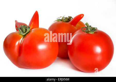 Three tomatoes isolated on white Stock Photo