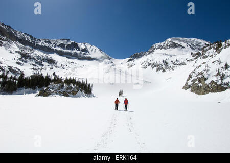 Two people snowshoeing on Cameron Pass, Colorado. Stock Photo