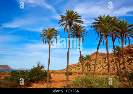 Almeria in Cabo de Gata Playazo Rodalquilar beach at Mediterranean Spain Stock Photo