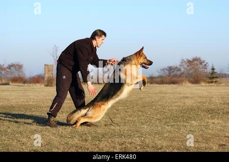 drilling guard dog Stock Photo