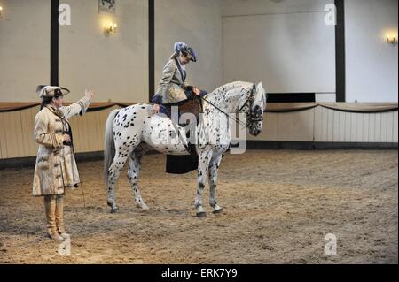 horse, animal, baroque, riding, costume, rider, equestrian ...