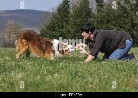 woman plays with Border Collie Stock Photo