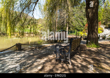 Walking road along river in forest, wooden bench under willow tree. Stock Photo