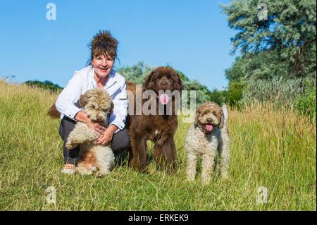 woman and 3 dogs Stock Photo