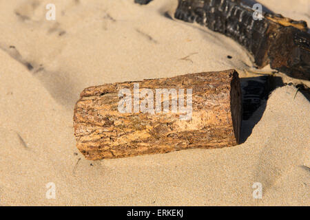 Small piece of sawn wood log in the sand on a beach next to burnt remains of campfire in the sun Stock Photo