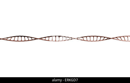 A microscopic view of a DNA style strand of flesh on an isolated background Stock Photo