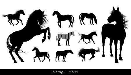 A set of high quality very detailed horses in various poses in silhouette Stock Photo