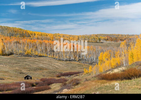 View over the Kolob Terrace and valley in autumn, aspen trees in autumn colours. Stock Photo