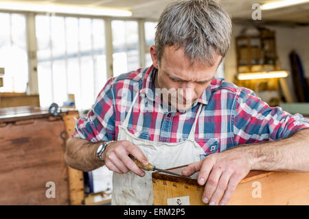 A man in a furniture restoration workshop using a hand tool on a piece of antique furniture. Stock Photo