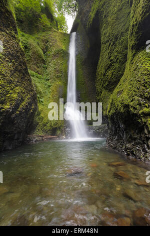 Lower Oneonta Falls at Columbia River Gorge National Scenic Forest in Oregon Stock Photo