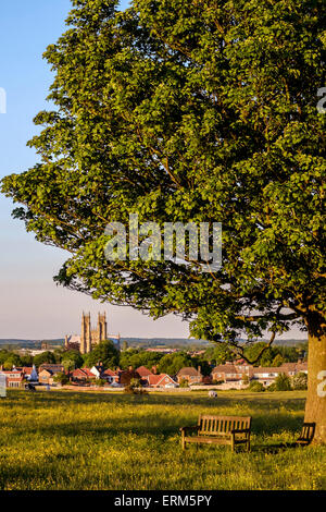 Beverley town & the Minster seem from the Westwood on a June evening. Stock Photo