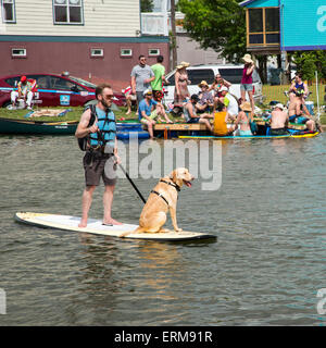 New Orleans, Louisiana - A man and his dog on a standup paddle board on Bayou St. John. Stock Photo
