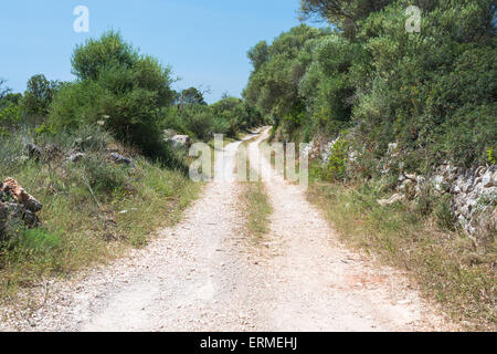 Country DIrt Road leading off into distance. Stock Photo