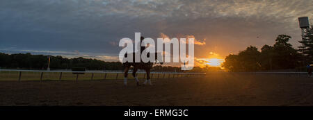 Elmont, New York, USA. 4th June, 2015. A horse and rider are silhouetted during morning training Thursday at Belmont Park . Credit:  Bryan Smith/ZUMA Wire/Alamy Live News Stock Photo