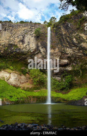 Bridal Veil Falls (Waireinga) near Raglan, Waikato, North Island, New ...