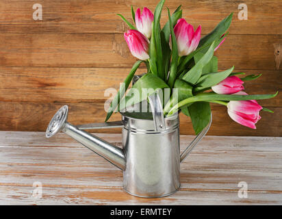 Bouquet of pink  tulips in watering can. Stock Photo