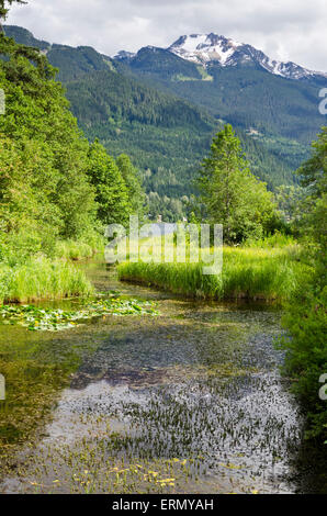 View of Alta Lake and Whistler mountains from Rainbow Park.  Summer in Whistler, BC, Canada Stock Photo