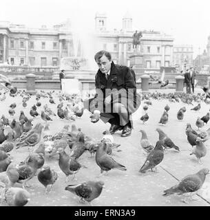 Robert Vaughn, actor who plays the role of secret agent Napoleon Solo in NBC show The Man from U.N.C.L.E., pictured feeding the pigeons in Trafalgar Square, London, 22nd March 1966. UK Promotion Tour.