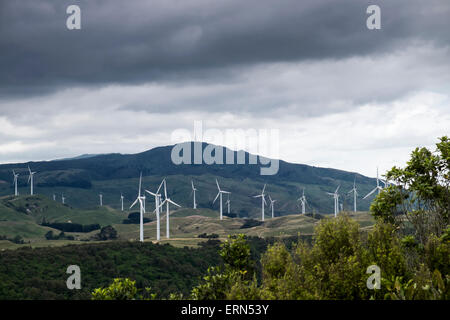 Turbines generating electricity at the Meridian Energy windfarm in Te Apiti, Manawatu Gorge, New zealand. Stock Photo