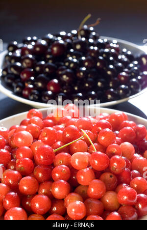 Two bowls of cherries : red and black, sweet and sour Stock Photo
