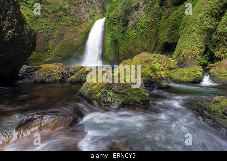 Wahclella Falls at Columbia River Gorge National Scenic Forest in Oregon Stock Photo