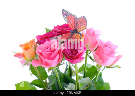 Pink, fuchsia, and yellow rose buds with monarch butterfly against white background. Stock Photo