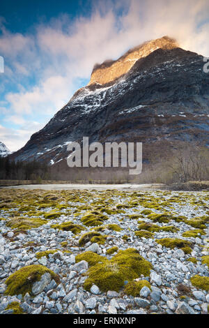 Evening light on the peak Romsdalshorn, 1550 m, and beautiful green moss at the valley floor of Romsdalen valley, Norway. Stock Photo