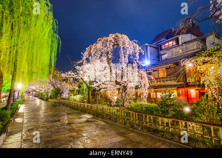 Kyoto, Japan at the historic Shirakawa District during the spring season. Stock Photo