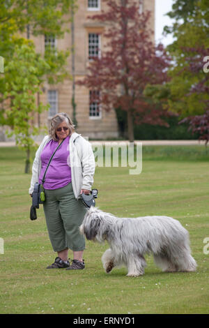 Woman with old English sheepdog at Exbury Gardens, New Forest National Park, Hampshire, England UK in May Spring Stock Photo