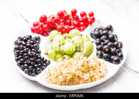 Currants and gooseberry Stock Photo