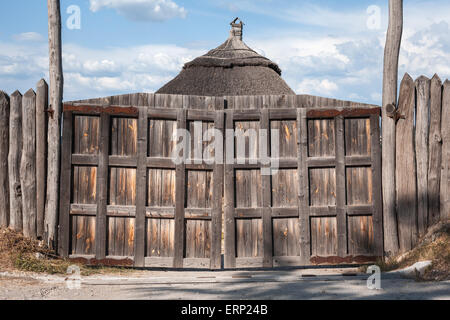 Old wooden gates. wood texture. Background for design Stock Photo