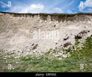 Soil profile cross section showing thin topsoil layer on top of white chalk rock Marlborough Downs, Wiltshire, England Stock Photo