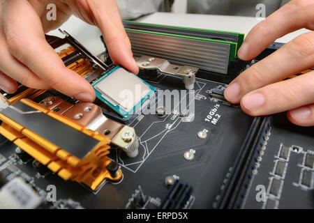 Hands of a technician assembling computer hardware parts, as a new cpu is being mounted unto the motherboard, studio closeup Stock Photo