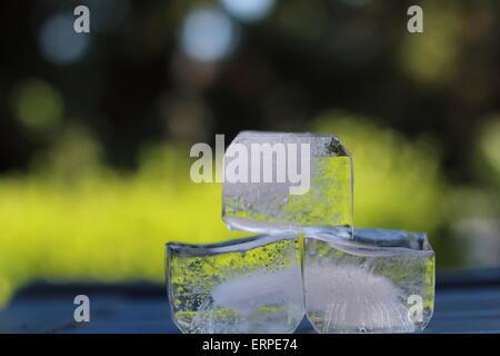 Ice cubes in green background Stock Photo