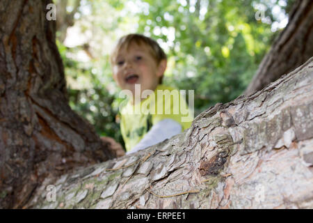 Young boy playing and climbing on a large tree in the backyard Stock Photo