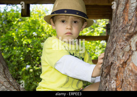 Young boy playing and climbing on a large tree in the backyard Stock Photo