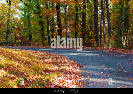 Sunny afternoon on a pathway in the autumn park. Stock Photo
