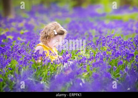 Cute toddler girl in bluebell flowers in spring Stock Photo