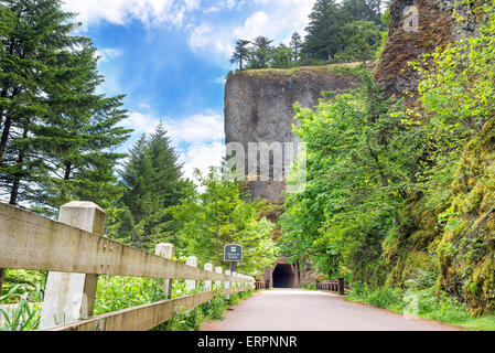 Historic tunnel passing through Oneonta Gorge in Oregon Stock Photo