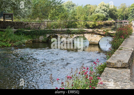 River Coln, Bibury, Cotswolds,  Gloucestershire,  England UK Stock Photo