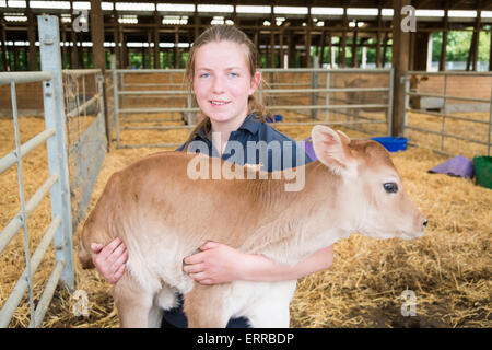 A girl holds a jersey calf at Pierrepoint Farm, Frensham, Surrey, UK, 7th June 2015. The farm, owned by the Countryside Restoration Trust which promotes wildlife friendly farming, held an open day in conjunction with the National Open Farm Sunday event. The open day is the farming industry’s national open day managed by Linking Environment and Farming (LEAF). Credit Julian Eales/Alamy Live News Stock Photo