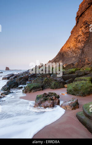 Towering cliffs, Black Nab, calm sea, smooth sand, rocky shoreline, clear blue sky & evening sun - picturesque Saltwick Bay, North Yorkshire, GB, UK. Stock Photo