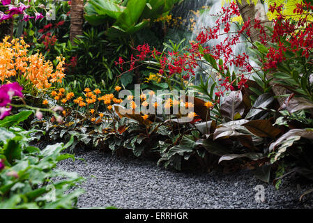 The Hidden Beauty of Kranji by Esmond & Uniseal, Silver Gilt, Chelsea Flower Show 2015 Stock Photo