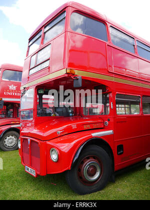 Heritage route traditional Routemaster bus in London Stock Photo - Alamy