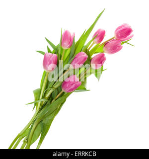 Fresh cut bouquet or arrangement of pink tulips isolated on white Stock Photo